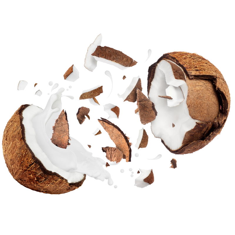 100% Coconut Excellence