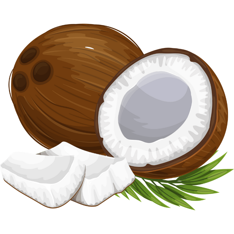 Untitled design (21)