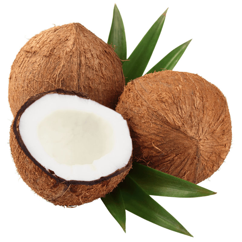 coconut_banner_image